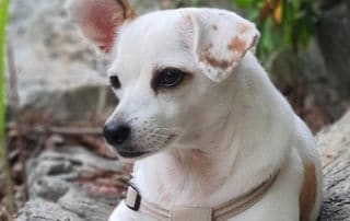 Do you have to lodge a tax return if you earn under 18000